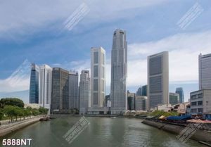 Tranh những cành dừa xanh 