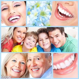 Tranh dán tường hoa nghệ thuật