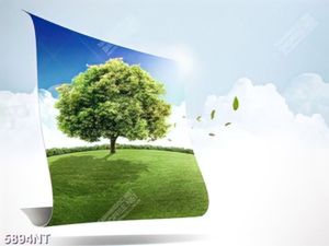 Tranh tường hoa đẹp 