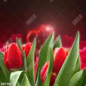 Tranh trang trí tường đẹp ngày noel