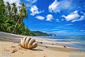 Tranh bãi biển và hòn đảo xanh