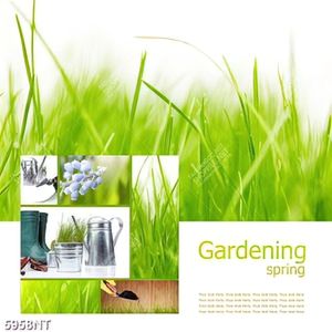 Tranh rô bốt bóng đêm