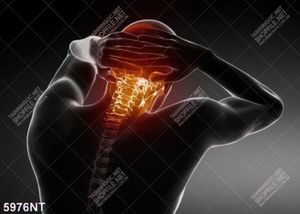 Tranh những cây nấm đáng yêu