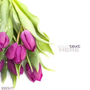 Tranh nghệ thuật trang trí tường