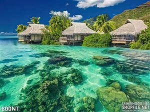 Tranh khu nghỉ dưỡng trên đảo