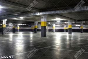 Tranh nghệ thuật trang trí tường