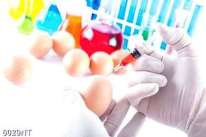 Tranh treo tường trang trí nghệ thuật