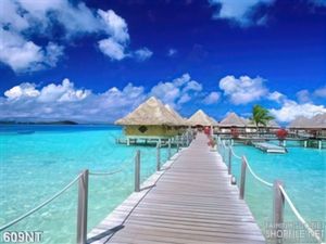 Tranh cây cầu đi ra khu nghỉ dưỡng