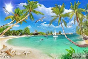 Tranh bãi biển và cá heo