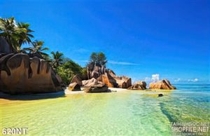 Tranh hòn đảo trên địa dương
