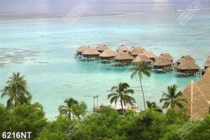 Tranh treo tường trang trí nghệ thuật