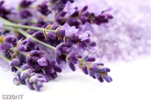 Tranh nghệ thuật trang trí tường