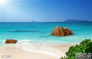 Tranh bãi biển xanh