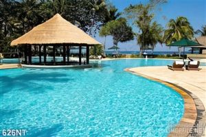 Tranh hồ bơi khu resort
