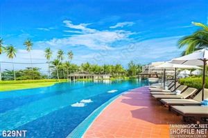 Tranh hồ bơi  khu nghỉ dưỡng