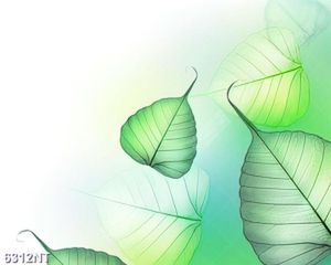 Tranh chiếc lá đẹp 6312NT