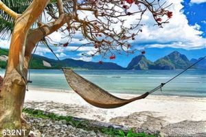 Tranh võng trên bãi biển