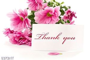 Tranh thank you