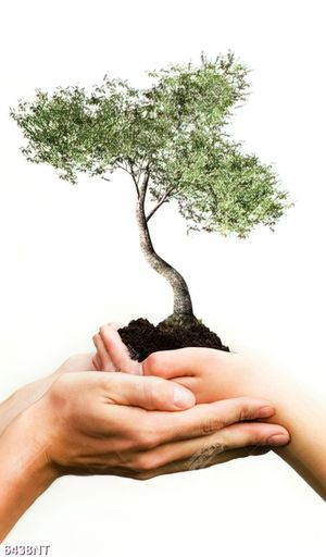 Tranh nghệ thuật bảo vệ môi trường