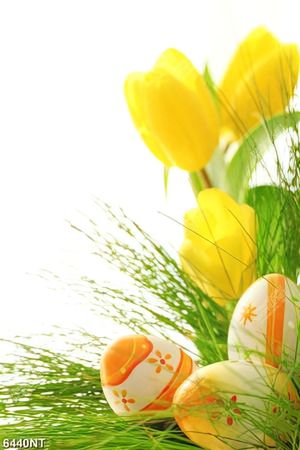 Tranh hoa vàng và trứng phục sinh 
