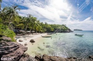 Tranh bãi biển đẹp 6481NT