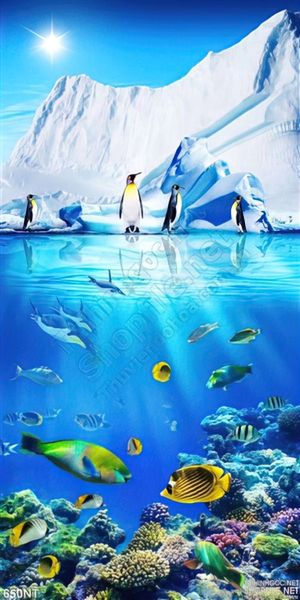 Tranh đại dương và chim cánh cụt