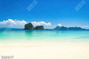 Tranh nghệ thuật đẹp