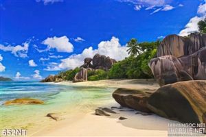 Tranh bãi đá trên biển