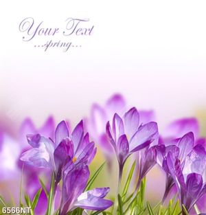 Tranh treo tường nghệ thuật ấn tượng