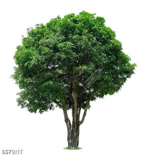 Tranh nghệ thuật đẹp nhất