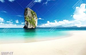 Tranh trang trí nghệ thuật 