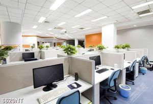 Tranh nghệ thuật đẹp nhất