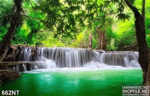 Tranh thác nước trong rừng
