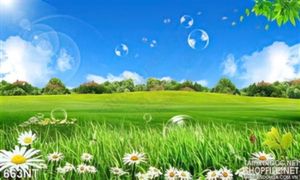 Tranh 3D đồng cỏ trang trí phòng khách