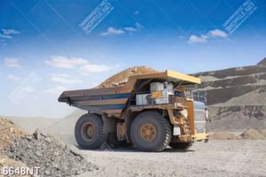 Tranh nghệ thuật chất lượng cao