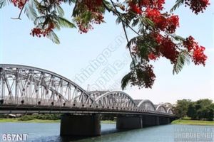 Tranh cầu Tràng Tiền ở Huế