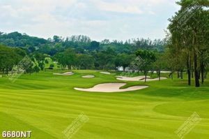 Tranh sân golf đẹp 6680NT