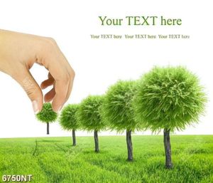 Tranh cây xanh 6750NT