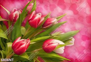 Tranh hoa tulip 6806NT