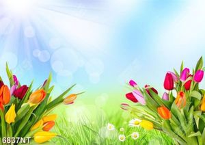Tranh hoa tulip 6837NT