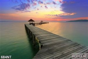 Tranh cây cầu ra đại dương