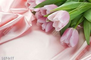 Tranh hoa tulip 6874NT