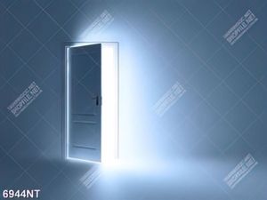 Tranh cánh cửa thần kì