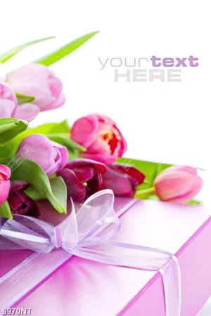 Tranh hoa tulip 6970NT