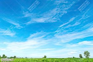 Tranh bầu trời trong xanh 6988NT