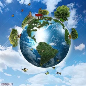 Tranh nghệ thuật trái đất 6999NT