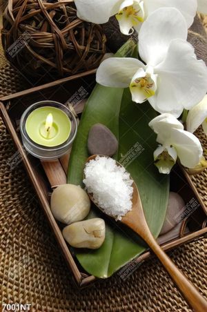 Tranh hoa và nến