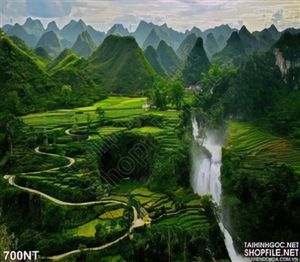 Tranh cánh đồng lúa và núi