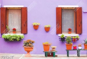 Tranh bức tường tím đẹp 7013NT