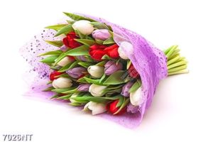Tranh bó hoa tulip 7026NT